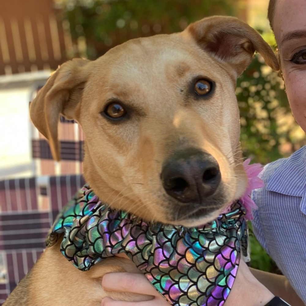 Meet your Posher, Wendi